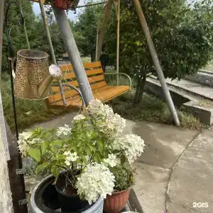 Далай - 36
