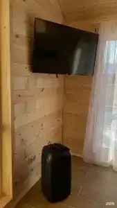 Зелёный бор - 69