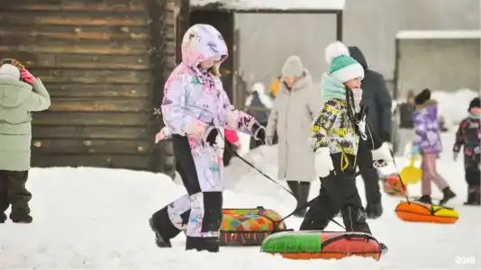 Сосновый бор - 55