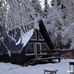 Бурундуки - 1