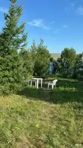 Оазис - 39