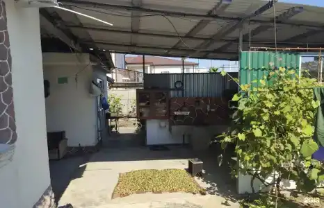 Акуна Матата - 4