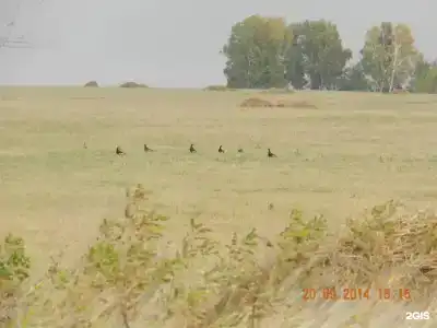 В гостях у Эмилии - 65