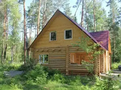 Заповедный бор - 25