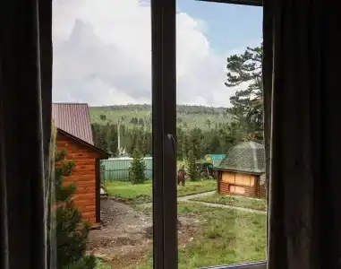 Золотой Кедр - 43
