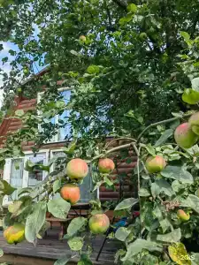 В гостях у кроликов - 17