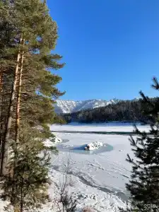 Шелест - 24