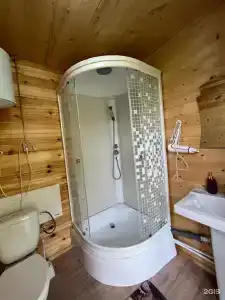 Облепиха - 8