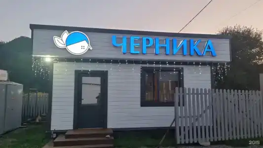 Черника - 40