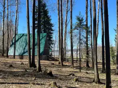 Поляна - 53