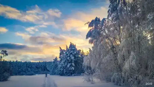 Mраткинору - 19