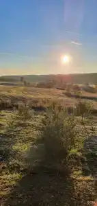 Ферма Подворье Лукино - 49