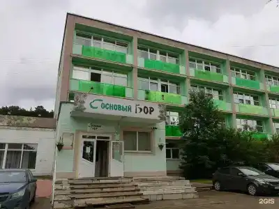 Сосновый Бор - 10