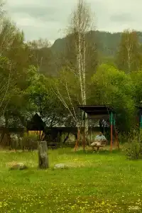Барс - 12