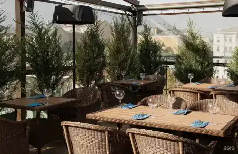 Magic Harp - 100