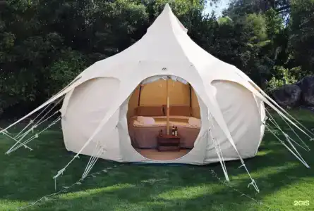 Грибная Находка - 33