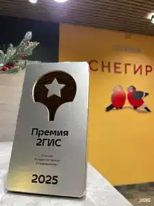 Снегири - 18