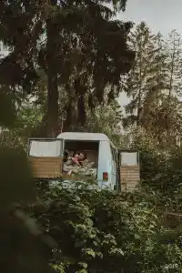 Hippy - 31