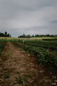 Дом с видом на озеро рядом с Ладожскими шхерами - 93