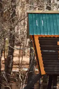 Золотой Дракон - 105