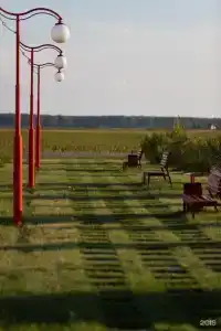 Пичуги - 5