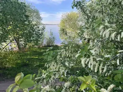 Ивушки - 18