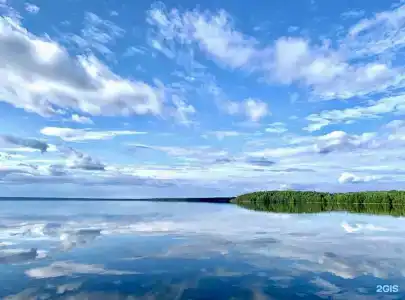 Шишки - 20