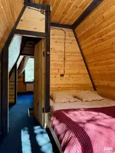 Terskol Star - 43