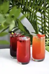 Crystal House Suite & SPA - 28