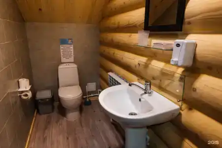 Рыжий кот - 14