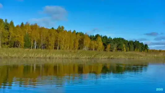 Павловская Усадьба - 5
