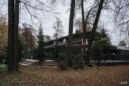 Свиристели прилетели - 64