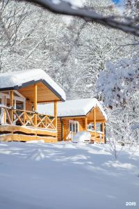 Base Camp - 23