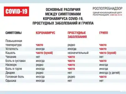 Райдо - 3
