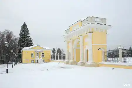 Усадьба Гребнево - 78