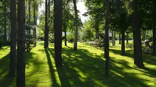 Жемчужина - 2