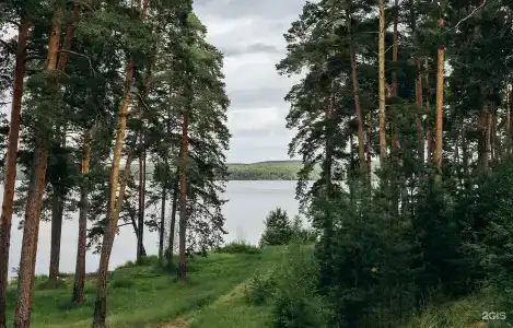 Племя - 5