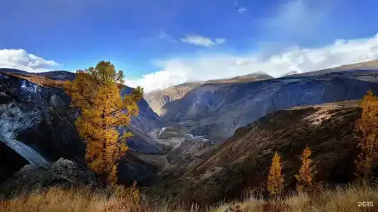 Силагор - 24