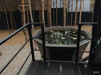 Хвоя - 7