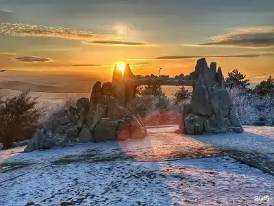 Свои - 12