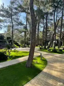 Приморье Grand Resort - 29