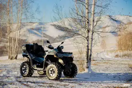 Маральник Алтай - 125