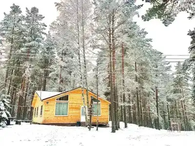 Журавушка - 61