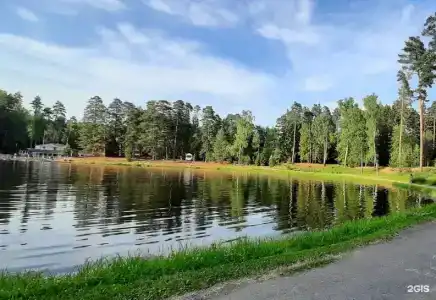 Царский лес - 3
