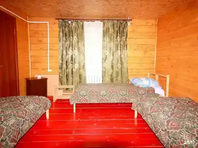 Заповедный бор - 2