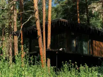 Берель - 111