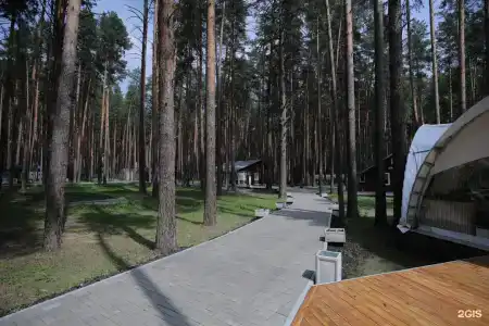 ДухЛес - 64