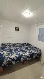 В гостях у зайца - 28