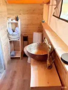 Сайкол - 11