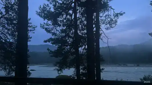 Пилот - 49